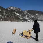Gospodarstwo agroturystyczne Haus Galler - Urlaub Am Bauernhof *