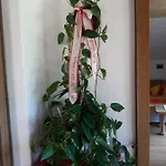 Haus Galler - Urlaub Am Bauernhof Gospodarstwo agroturystyczne