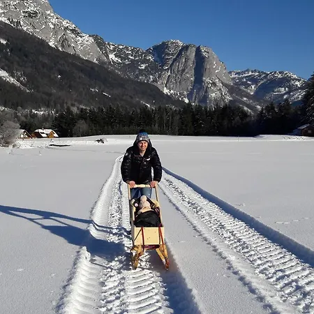 Haus Galler - Urlaub Am Bauernhof