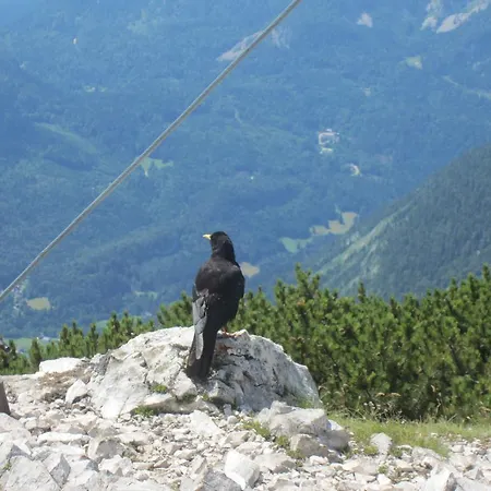 Alloggio per agriturismo Haus Galler - Urlaub Am Bauernhof Bad Aussee
