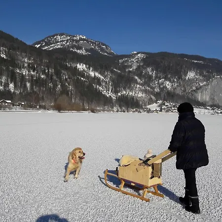팜스테이 Haus Galler - Urlaub Am Bauernhof *