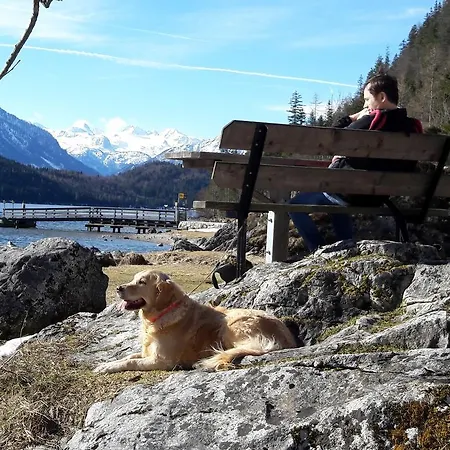 Haus Galler - Urlaub Am Bauernhof