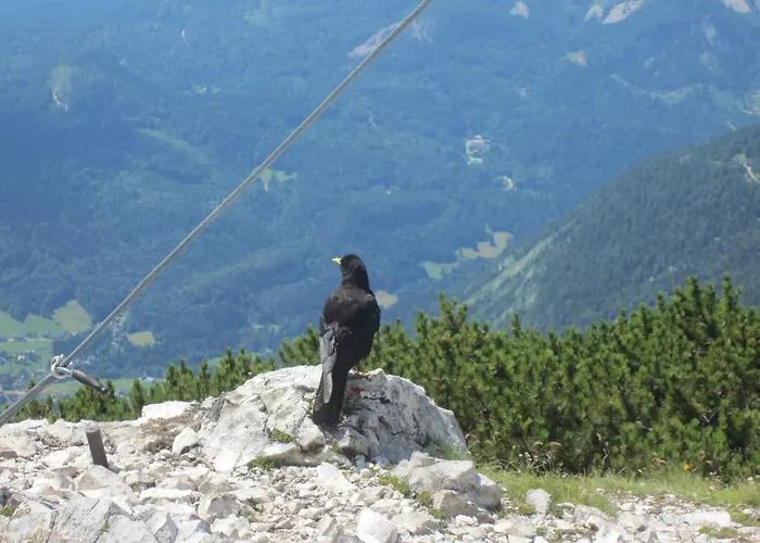 Farmház Haus Galler - Urlaub Am Bauernhof Bad Aussee