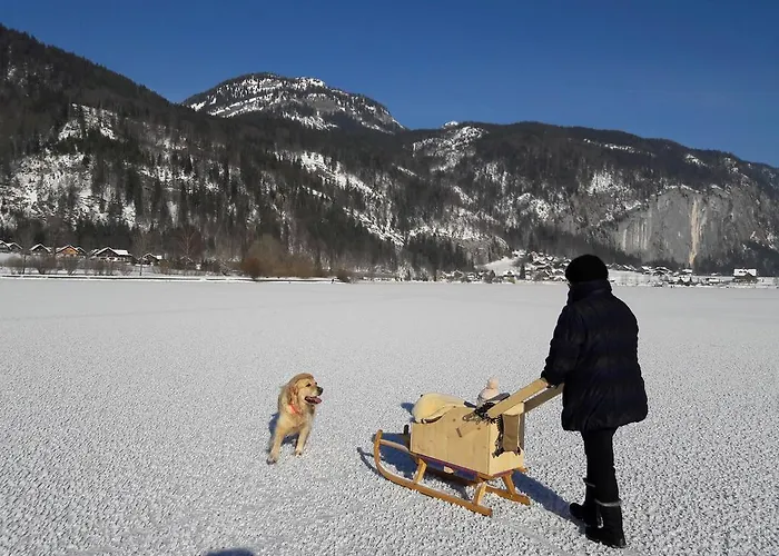 Vakantieboerderij Haus Galler - Urlaub Am Bauernhof *