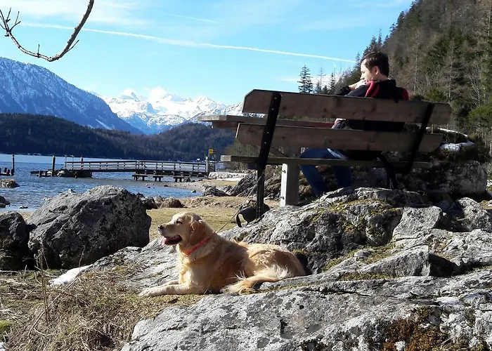 Haus Galler - Urlaub Am Bauernhof